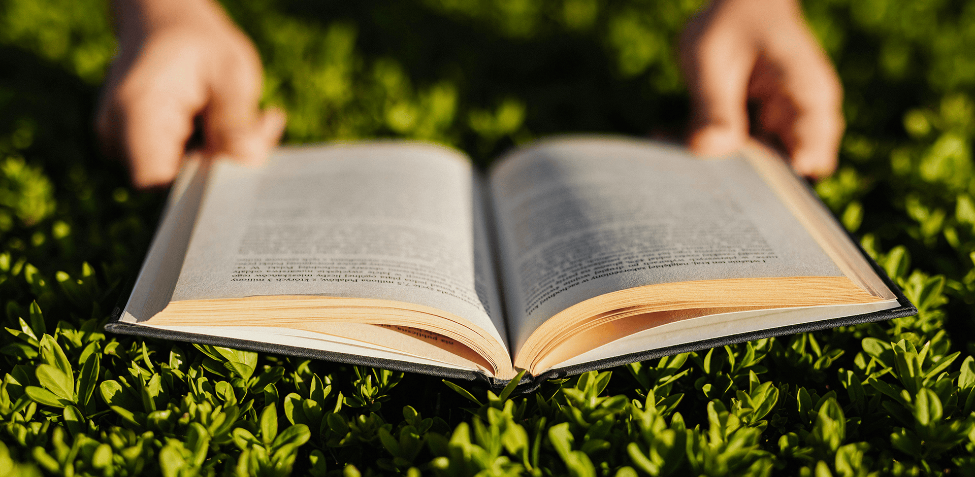 Kirja avoinna luonnossa, vihreä kasvillisuus ja kesällä auringonvalo.