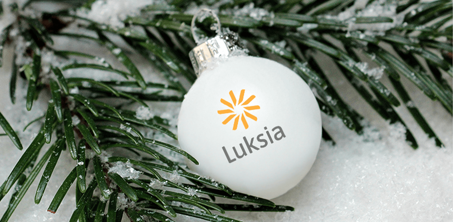 Havujen päällä valkoinen kuusenkoriste.