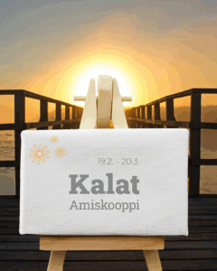 Kalastalous Amiskooppi, kalastustapahtuma Luksia, opinto-tapahtuma, aurinkoinen aamu, kalatarviketapahtuma, järviluonto.