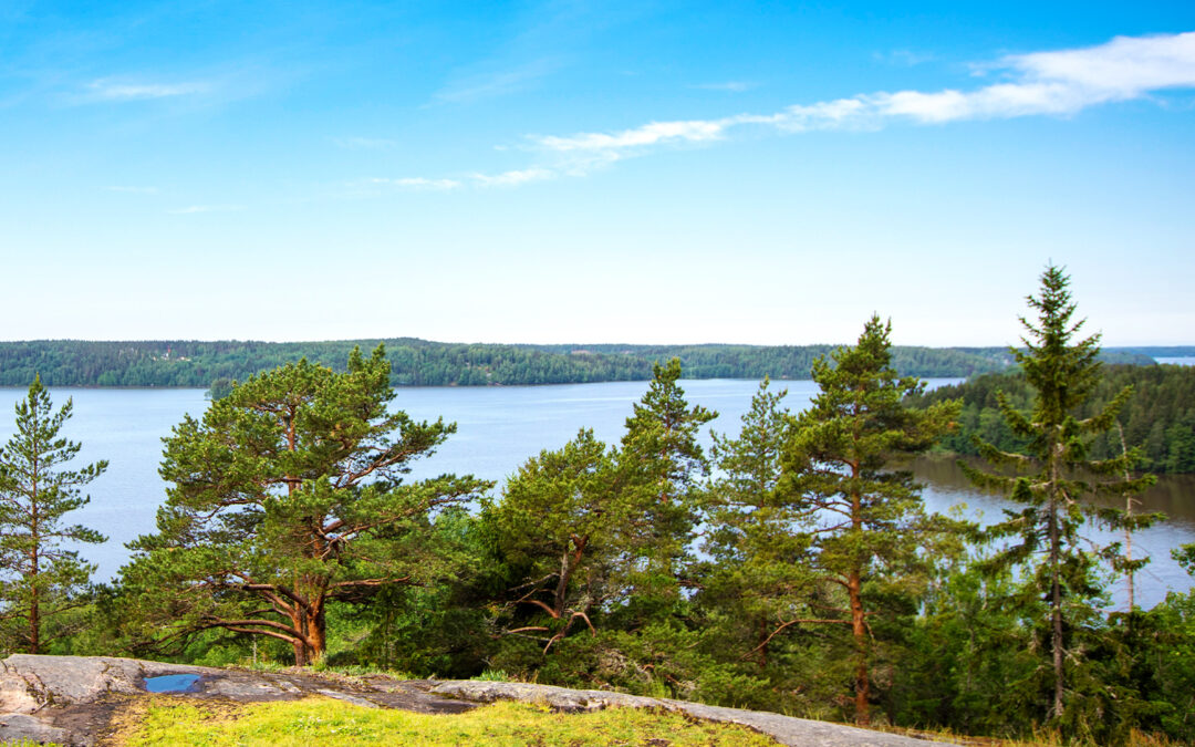 Timon kynästä